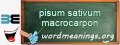 WordMeaning blackboard for pisum sativum macrocarpon